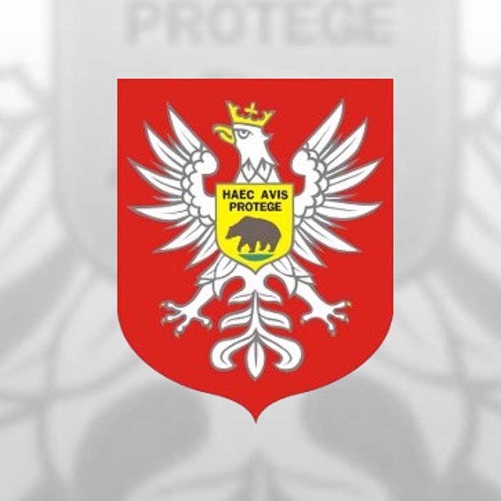 aktualność: OGŁOSZENIE konkursu ofert na realizację zadań publicznych z zakresu pomocy społecznej - działania na rzecz osób niepełnosprawnych mieszkańców miasta Ostrołęki w 2025 r.