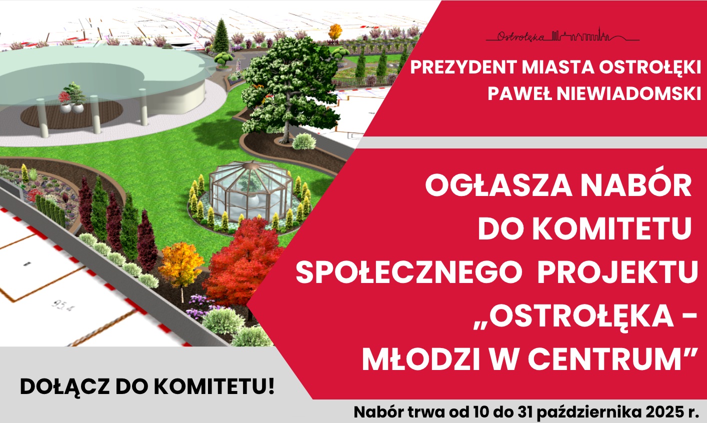 aktualność: Nabór kandydatów członków Komitetu Społecznego ds. projektu „Ostrołęka- młodzi w centrum”.