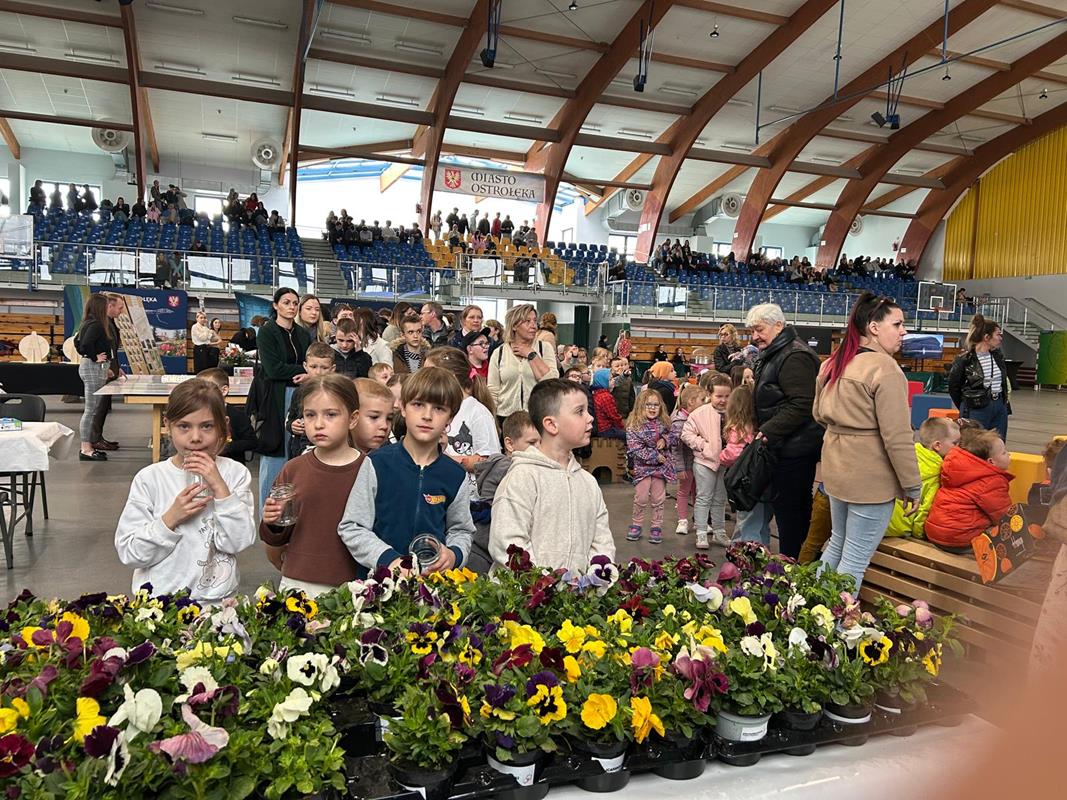 aktualność: "Pansy for glass" attracted crowds of residents. We collected as much as 660 kg of glass!